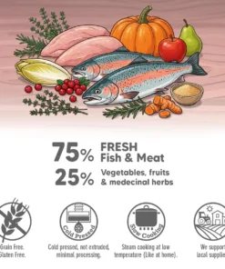 Fresh priboljški - Losos 2
