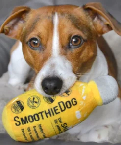 SmoothieDog Igrača 2