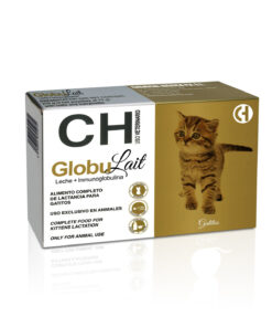 GlobuLait Kittens